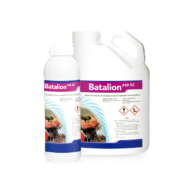 Batalion 450 SC