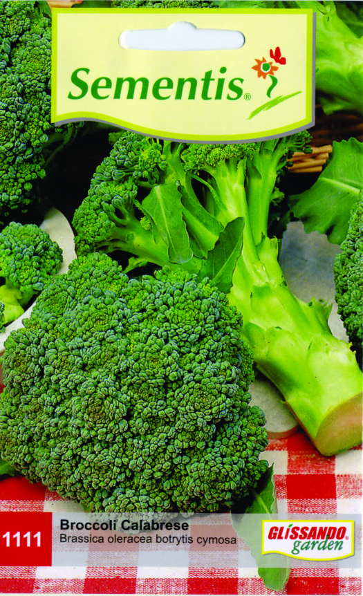 Broccoli Calabrese