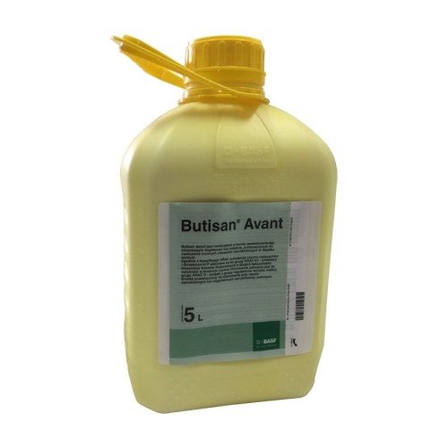 Butisan Avant