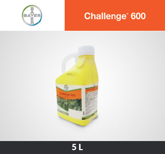 Challenge 600 SC