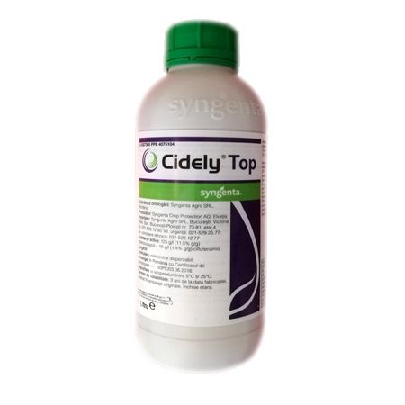 Cidely Top