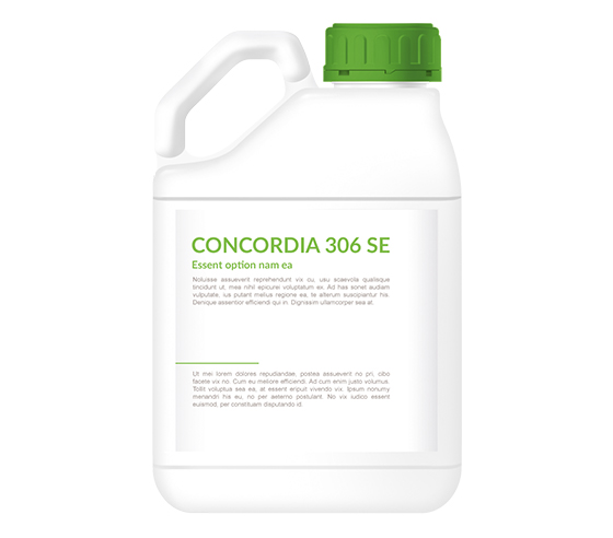 Concordia 306 SE