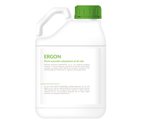 Ergon