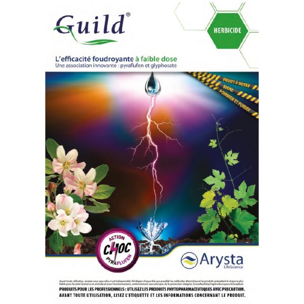 Guild