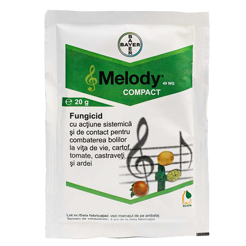Melody Compact 49 WG