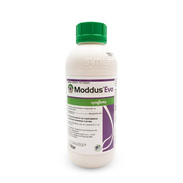 Moddus EVO