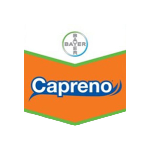 Pachet Capreno 10 ha