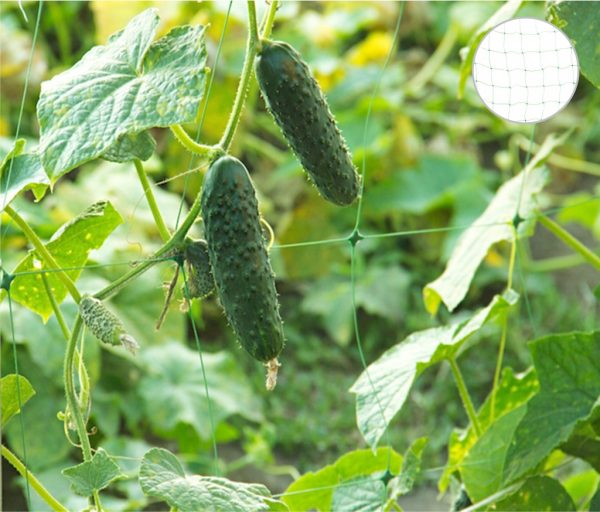 Plasă pentru susținerea plantelor