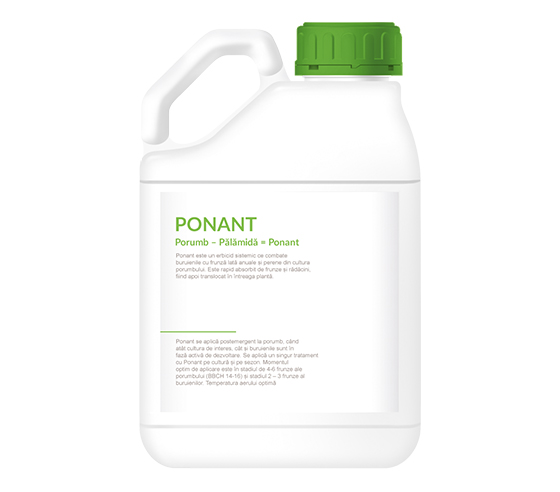 Ponant
