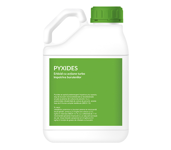 Pyxides WG