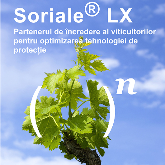 Soriale LX