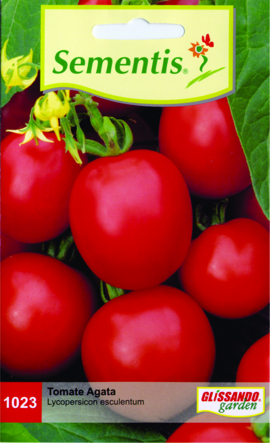 Tomate Agata